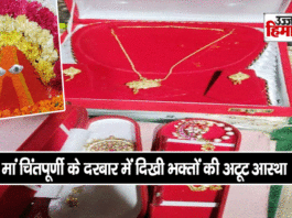 Devotees of Gurdaspur offered ornaments worth lakhs in the court of Maa Chintpurni